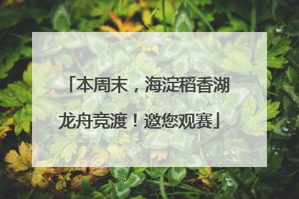 本周末，海淀稻香湖龙舟竞渡！邀您观赛