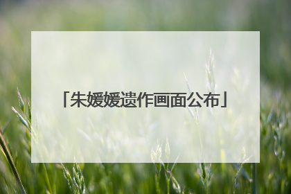 朱媛媛遗作画面公布