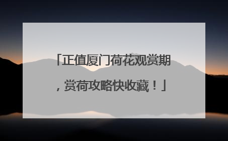 正值厦门荷花观赏期，赏荷攻略快收藏！