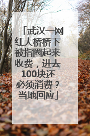 武汉一网红大桥桥下被指圈起来收费，进去100块还必须消费？当地回应
