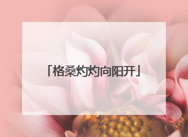 格桑灼灼向阳开