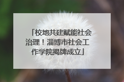 校地共建赋能社会治理！淄博市社会工作学院揭牌成立