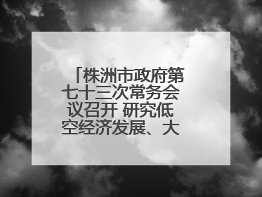 株洲市政府第七十三次常务会议召开 研究低空经济发展、大抓落实等工作
