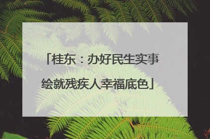 桂东：办好民生实事 绘就残疾人幸福底色
