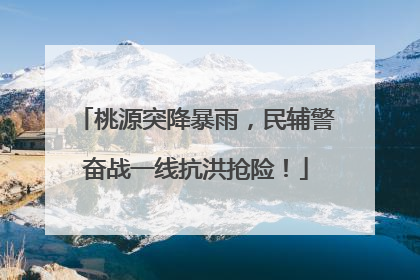 桃源突降暴雨，民辅警奋战一线抗洪抢险！