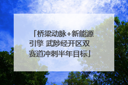 桥梁动脉+新能源引擎 武陟经开区双赛道冲刺半年目标