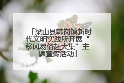 梁山县韩岗镇新时代文明实践所开展“移风易俗赶大集”主题宣传活动