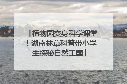 植物园变身科学课堂！湖南林草科普带小学生探秘自然王国