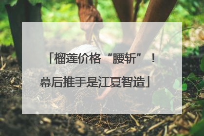 榴莲价格“腰斩”！幕后推手是江夏智造