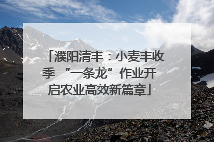 濮阳清丰：小麦丰收季 “一条龙”作业开启农业高效新篇章