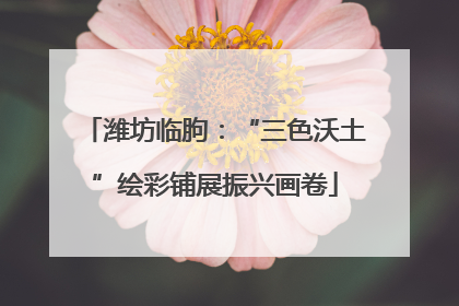 潍坊临朐：“三色沃土”绘彩铺展振兴画卷