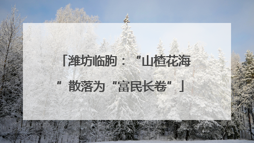 潍坊临朐：“山楂花海”散落为“富民长卷”