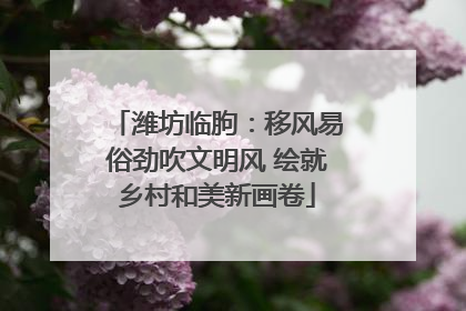 潍坊临朐：移风易俗劲吹文明风 绘就乡村和美新画卷
