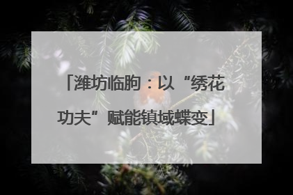 潍坊临朐：以“绣花功夫”赋能镇域蝶变