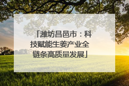 潍坊昌邑市：科技赋能生姜产业全链条高质量发展