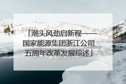 潮头风劲启新程——国家能源集团浙江公司五周年改革发展综述