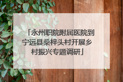 永州职院附属医院到宁远县桑梓头村开展乡村振兴专题调研