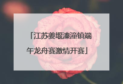 江苏姜堰溱潼镇端午龙舟赛激情开赛