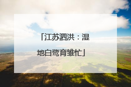 江苏泗洪：湿地白鹭育雏忙
