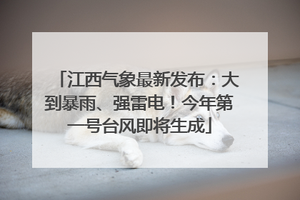 江西气象最新发布：大到暴雨、强雷电！今年第一号台风即将生成