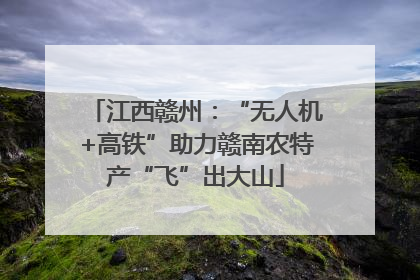 江西赣州：“无人机+高铁”助力赣南农特产“飞”出大山