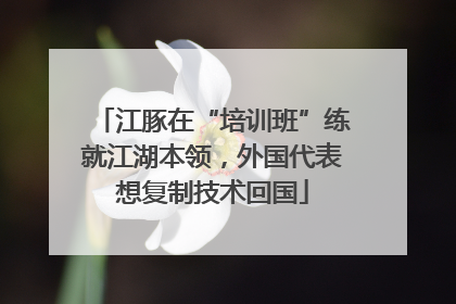 江豚在“培训班”练就江湖本领，外国代表想复制技术回国