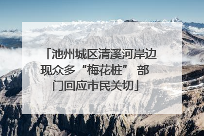 池州城区清溪河岸边现众多“梅花桩” 部门回应市民关切