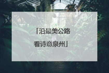 沿最美公路 看诗意泉州