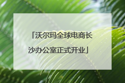 沃尔玛全球电商长沙办公室正式开业