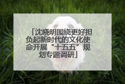 沈晓明围绕更好担负起新时代的文化使命开展“十五五”规划专题调研