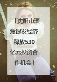 沈阳市聚焦银发经济释放530亿元投资合作机会