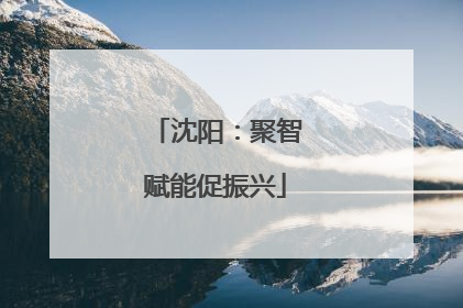 沈阳：聚智赋能促振兴