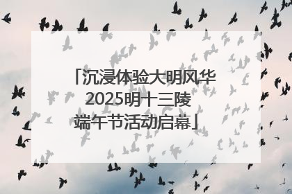 沉浸体验大明风华 2025明十三陵端午节活动启幕