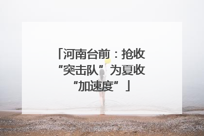 河南台前：抢收“突击队”为夏收“加速度”