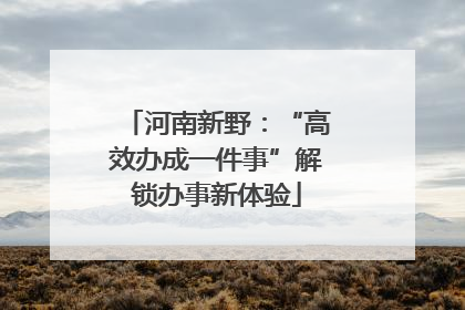 河南新野：“高效办成一件事”解锁办事新体验