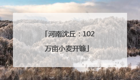 河南沈丘：102 万亩小麦开镰