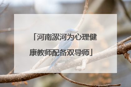 河南漯河为心理健康教师配备双导师