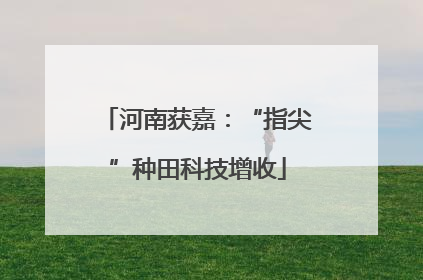 河南获嘉：“指尖”种田科技增收