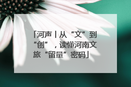 河声丨从“文”到“创”，读懂河南文旅“留量”密码