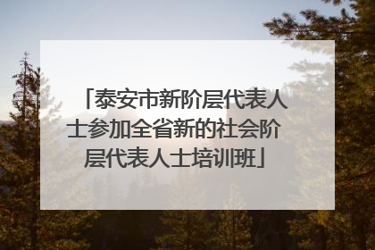 泰安市新阶层代表人士参加全省新的社会阶层代表人士培训班