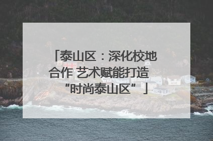 泰山区：深化校地合作 艺术赋能打造“时尚泰山区”
