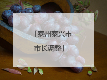 泰州泰兴市市长调整