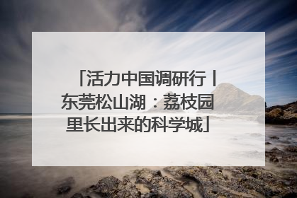 活力中国调研行丨东莞松山湖：荔枝园里长出来的科学城