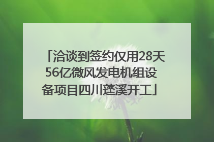 洽谈到签约仅用28天 56亿微风发电机组设备项目四川蓬溪开工