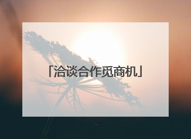 洽谈合作觅商机