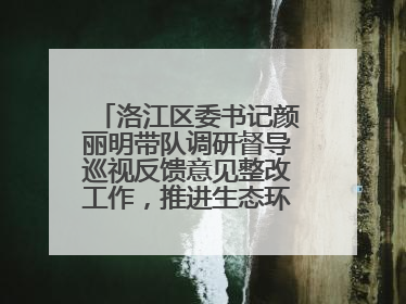 洛江区委书记颜丽明带队调研督导巡视反馈意见整改工作，推进生态环境保护建设