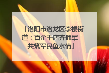 洛阳市洛龙区李楼街道：百企千店齐拥军 共筑军民鱼水情