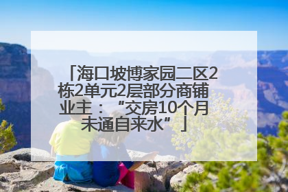 海口坡博家园二区2栋2单元2层部分商铺业主：“交房10个月未通自来水”