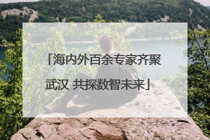 海内外百余专家齐聚武汉 共探数智未来