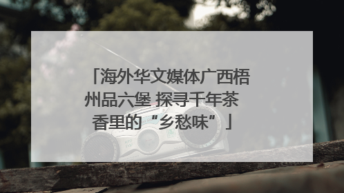 海外华文媒体广西梧州品六堡 探寻千年茶香里的“乡愁味”